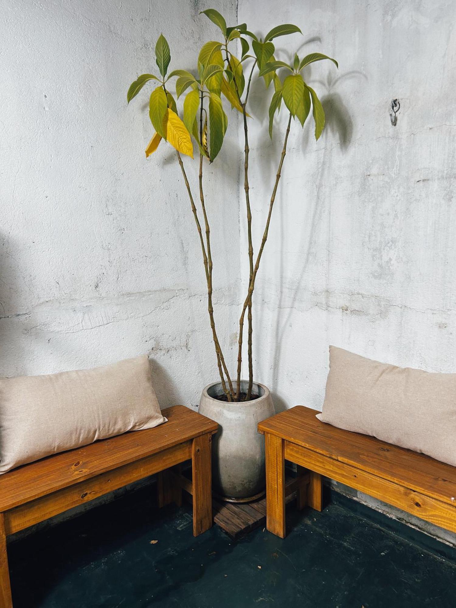 Casa de férias Charme Em Casa De - Localizacao Sp *